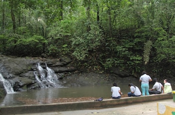 Panamá tiene 18 parques nacionales que poseen una valoración económica de bienes y servicios ambientales estimados en $199.48 millones anuales. (MiAmbiente)