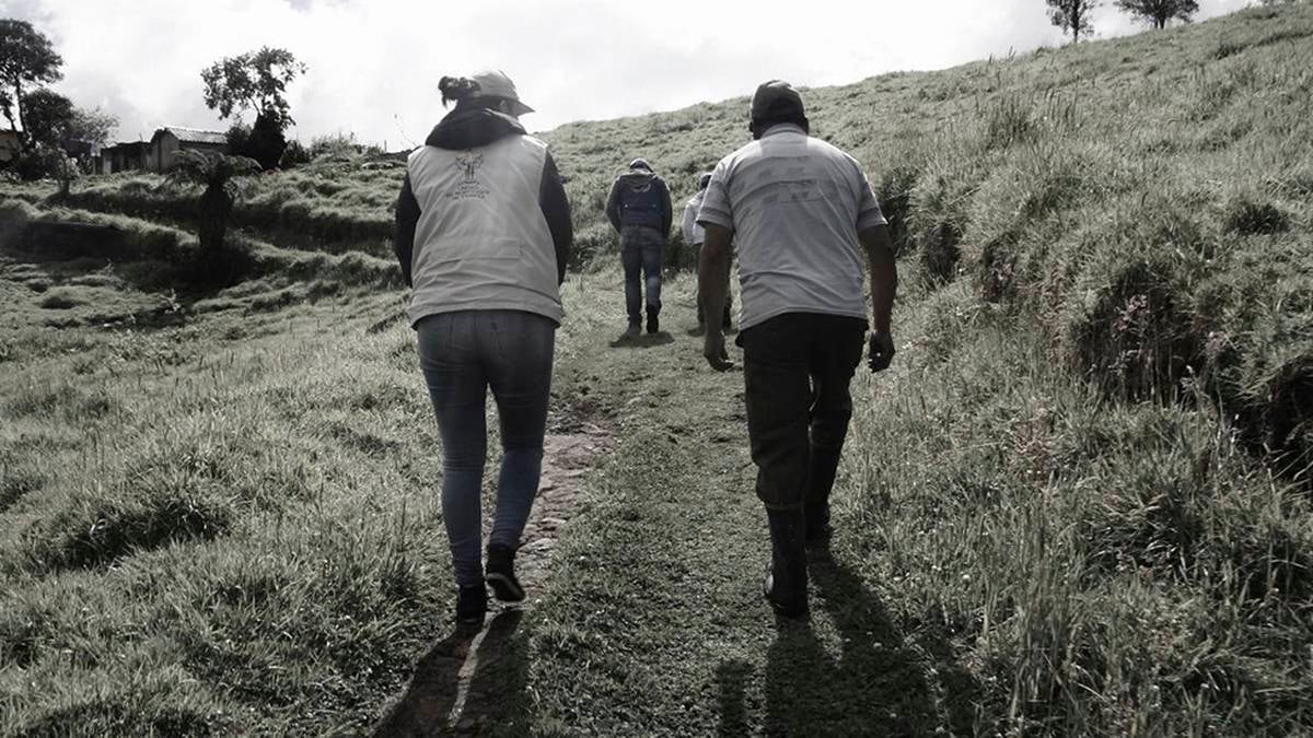La cartera de Agricultura plantea destinar más recursos a programas de inversión y financiación para productores rurales -crédito Unidad de Restitución de Tierras.