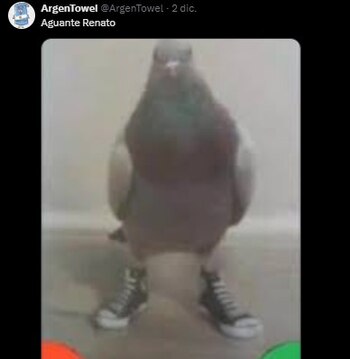 Renato Rossini Jr. sorprende en