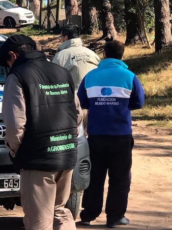 Distintos especialistas en fauna trabjaron