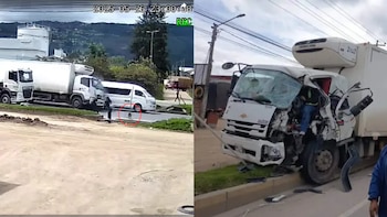 El animal iba persiguiendo a