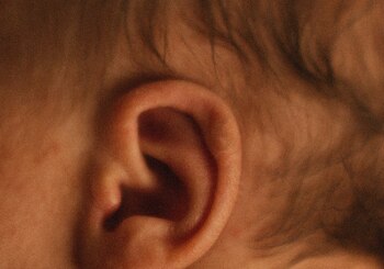 Estos son los nuevos detalles