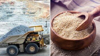 El Ministerio de Comercio Exterior