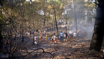 Vecinos y turistas se sumaron