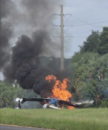 Restos de una avioneta destruida arden en llamas junto a humo negro, césped, árboles y un poste de tendido eléctrico