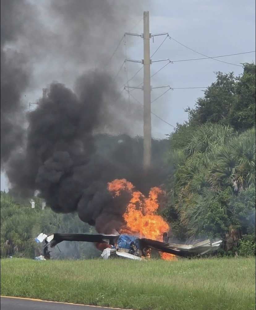 Una avioneta siniestrada se quema en un área verde tras impactar cerca de una torre de energía y generar una columna de humo negro.