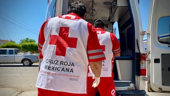 Imagen Ilustrativa - Elementos de