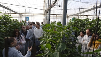 La Reina Letizia visitará el