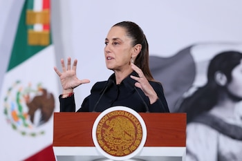 La presidenta de México, habló sobre el tema en diciembre pasado
(EFE/Mario Guzmán)