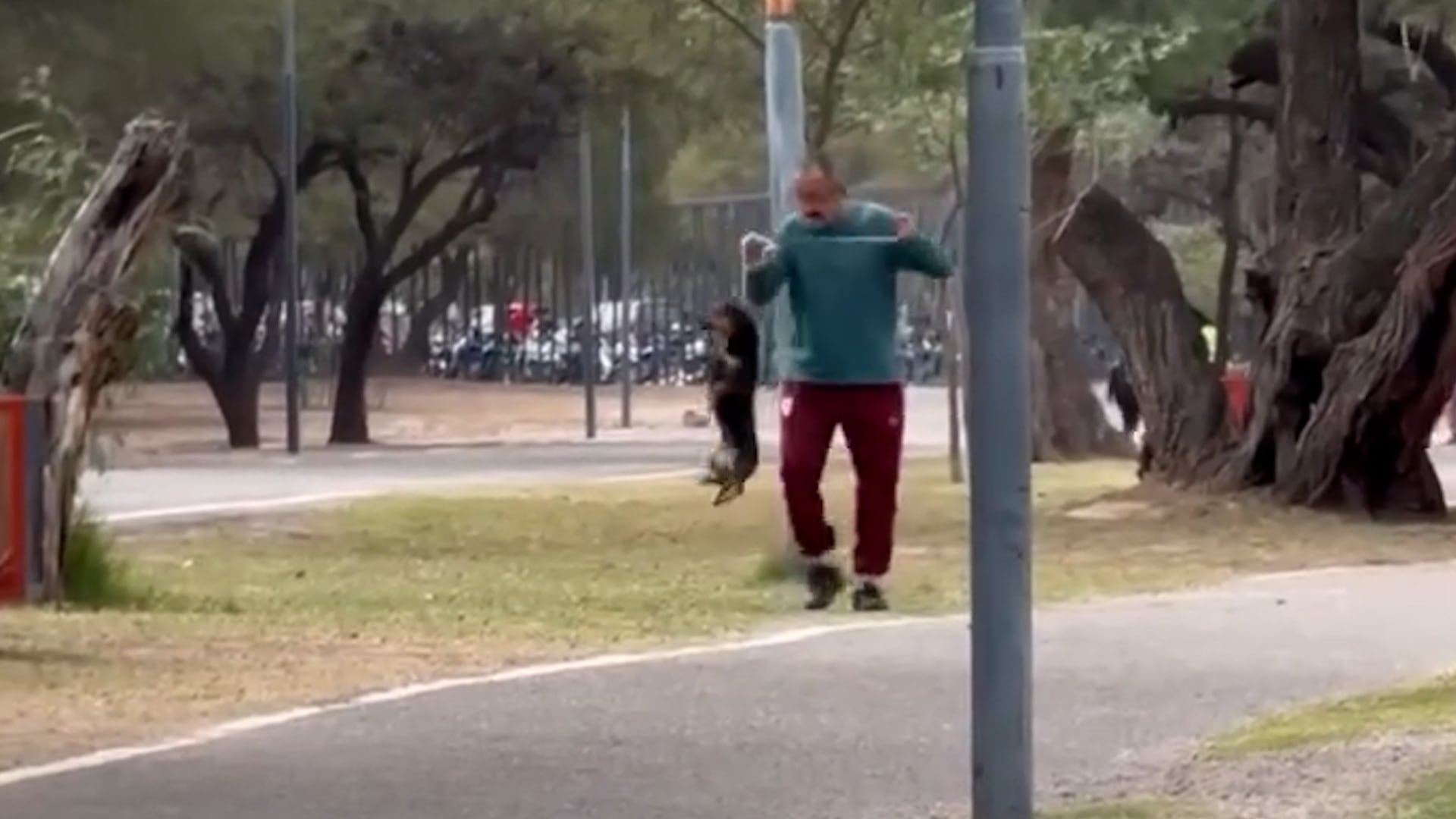 El video fue registrado por testigos que se encontraban en el Parque Adán Quiroga