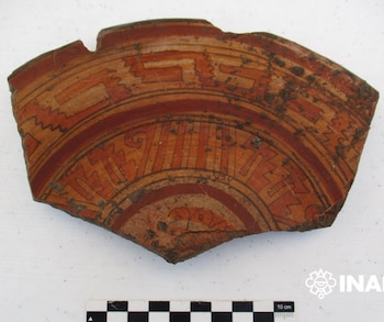 Restos en las posibles chinampas