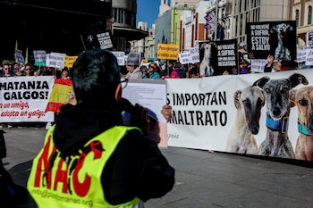 Manifestación en Madrid convocada por la Plataforma No a la Caza (NAC) en 2023. (Ricardo Rubio / Europa Press)