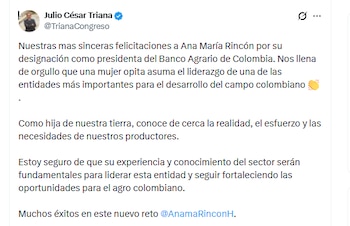 El representante del Huila Julio César Triana celebró el nombramiento de Ana María Rincón – crédito @TrianaCongreso/X