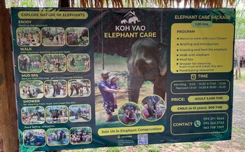 Cartel centro Koh Yao Elephant