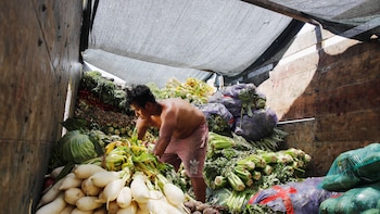 El campo peruano al límite: