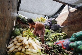 La producción de alimentos en