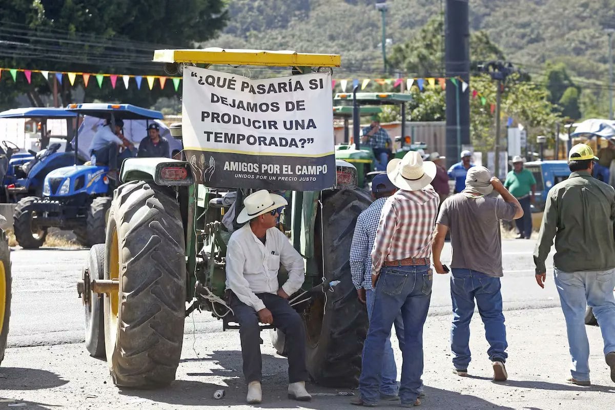 ANTAC y FNRCM retomaron el diálogo con la Secretaría de Agricultura y dependencias como Gobernación, Hacienda y Economía. (@Rural_MX/X)