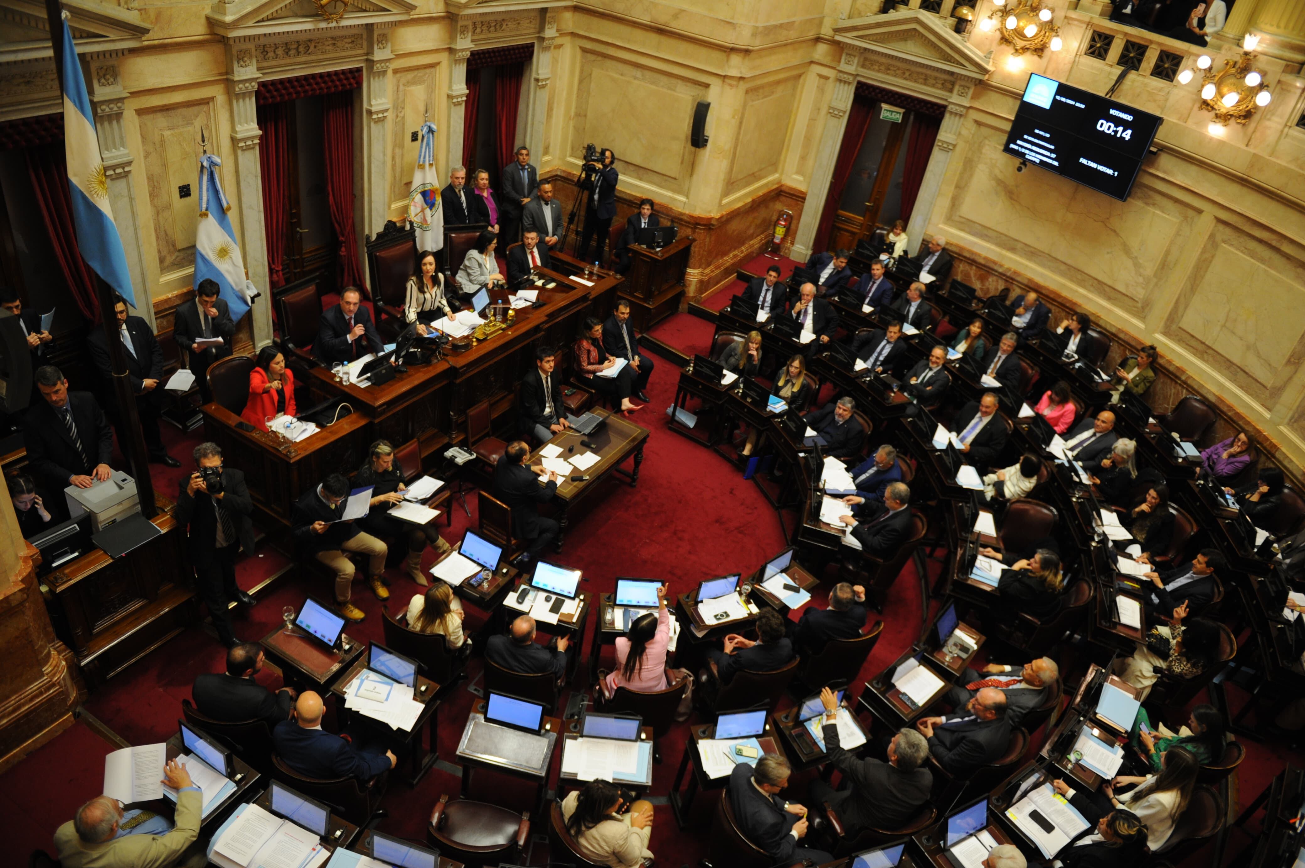 El pleno del Senado, durante una sesión realizada en 2024 (Sebastián Alonso)