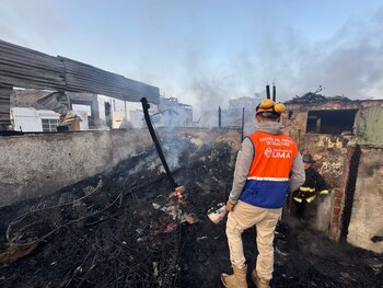 El personal de Gestión del