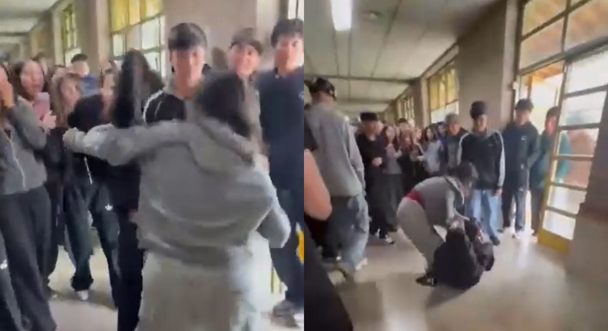 Tirones de pelo, patadas y golpes: dos alumnas se enfrentaron en una violenta pelea en Neuquén