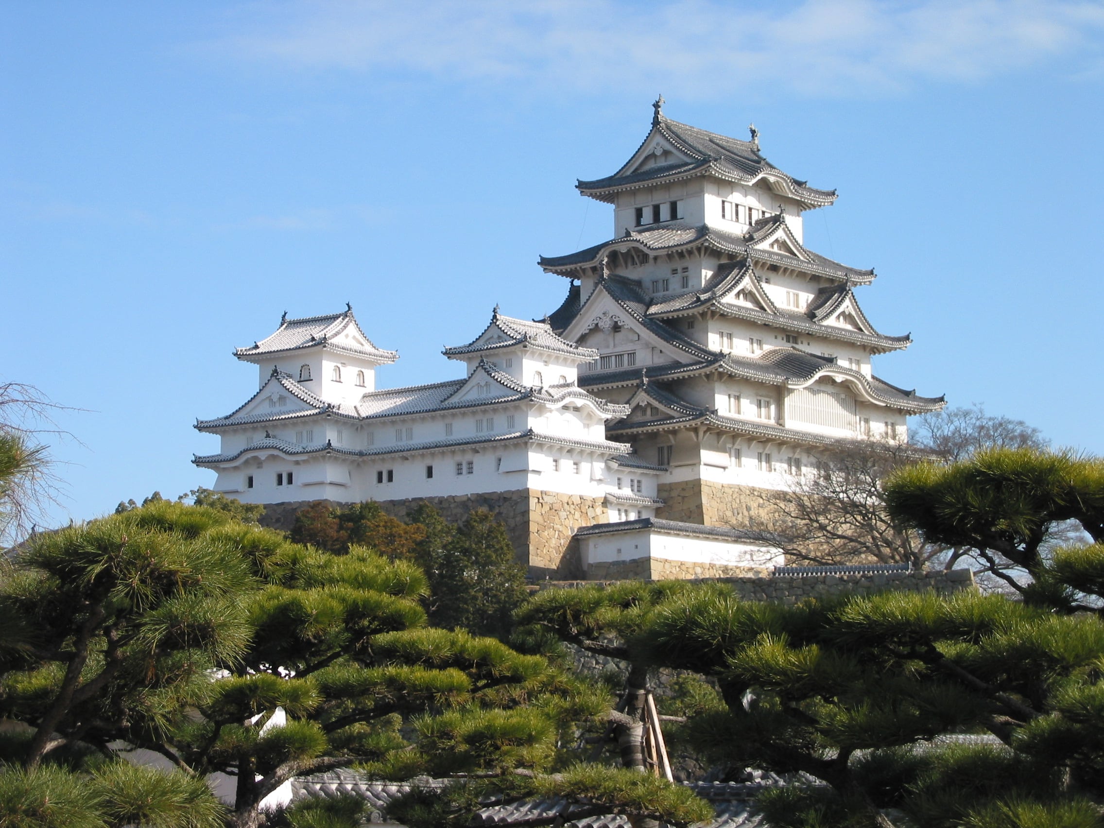 Emblema japonés, conocido por su defensa sofisticada y su blancura característica