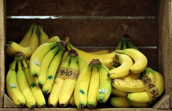 Bananas are displayed in a