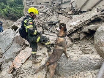 Un miembro de la Policía