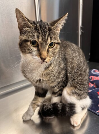 A pesar de la gravedad