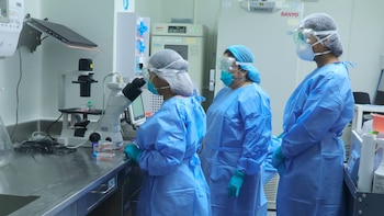 Clínica especializada atenderá casos de