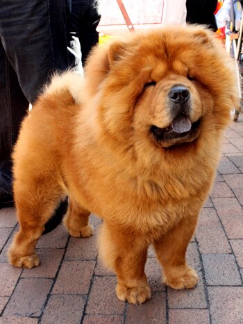 La aparición de manchas oscuras