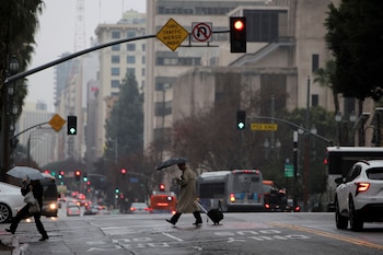 Más de 20.000 personas han