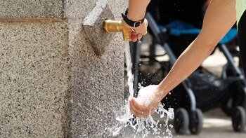 La Unesco analiza cómo la