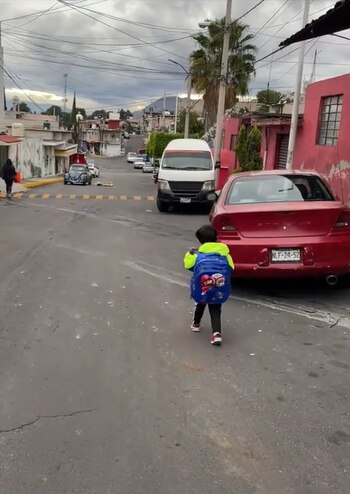 En el video se pueden