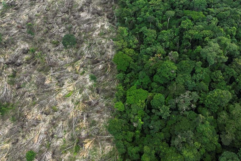 Alertan que los humedales de la Amazonía emiten más metano de lo previsto: el vínculo con el calentamiento global