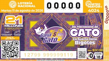 Resultados Lotería Nacional Sorteo Mayor 4024: premio mayor y números ganadores del martes 11 de agosto