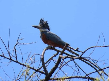 Foto: Robinson Duque, administrador del