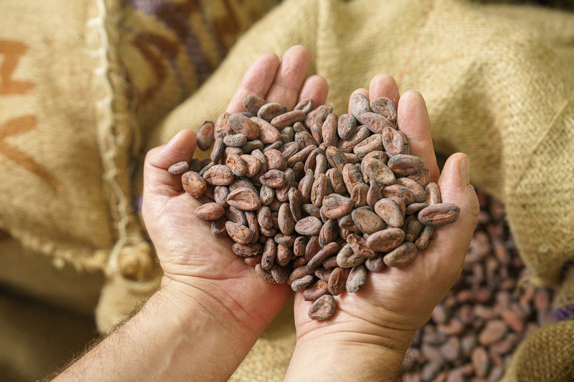 El chocolate de Kaitxo respeta al máximo el sabor del cacao (Dani de Pablos)