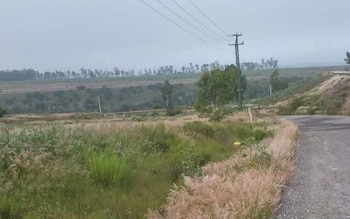 Polotitlán ejecutados Edomex (@malavidaqro/X)