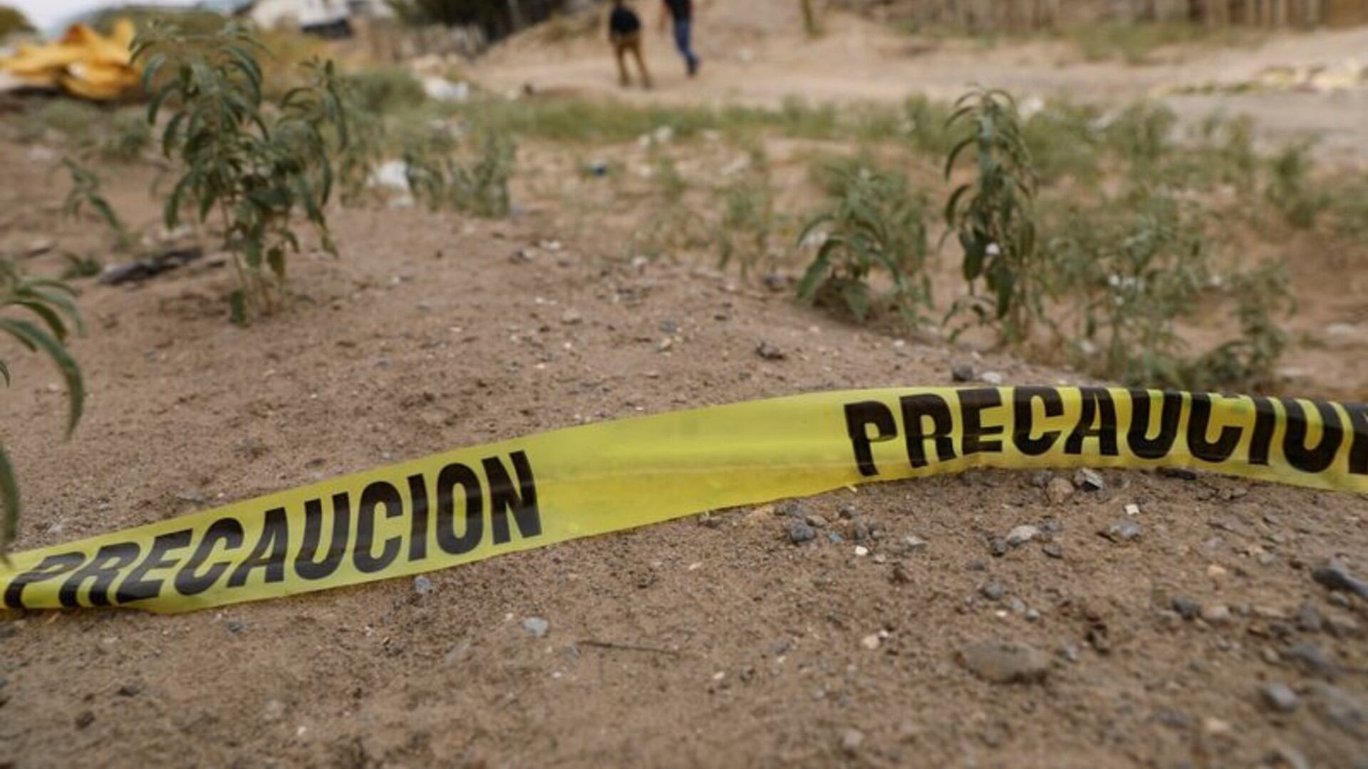 Las investigaciones ya se iniciaron y se espera esclarecer el delito en los próximos meses. (REUTERS/José Luis González | Archivo)