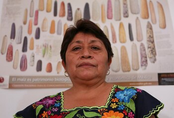 Su lucha llegó hasta la