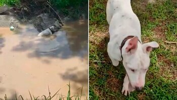 El Refugio Buenos Chicos se