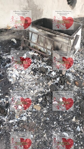 No es el primer hallazgo