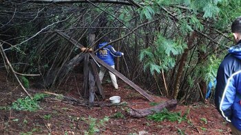Labores de rastreo en el