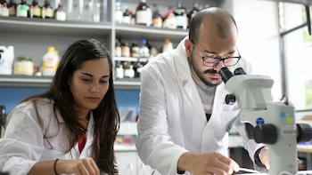 Universidad de Costa Rica confirma transmisión local de Leishmania infantum en perros