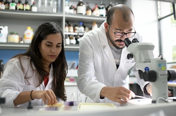 Un 60% de los perros infectados con Leishmania infantum no presentan síntomas clínicos y pueden transmitir el parásito de forma silenciosa. Cortesía: UCR