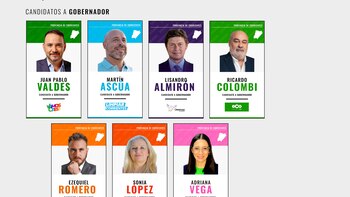 Elecciones en Corrientes: siete candidatos