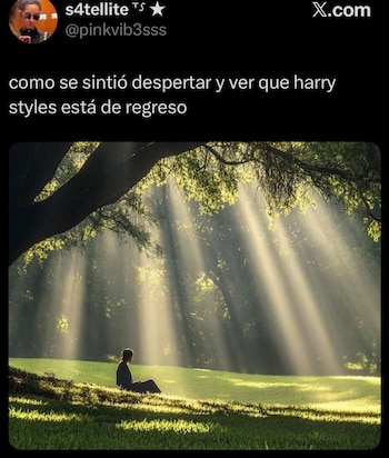 (captura de pantalla)