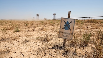 Crisis climática en Europa: el calor extremo provoca sequía y pone en riesgo el suministro de agua