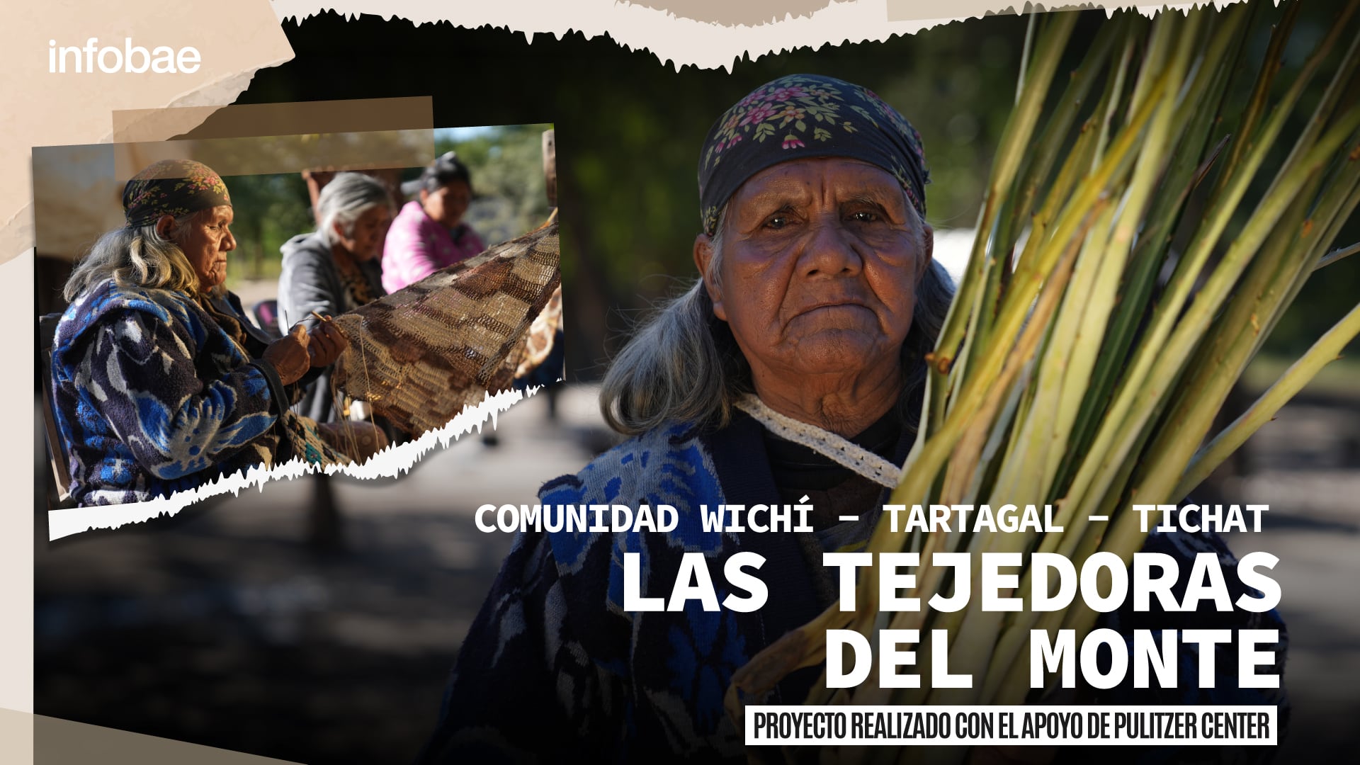 “Las tejedoras del monte”, el clamor de las mujeres wichí de Tartagal: qué hacer cuando la economía está basada en una especie amenazada