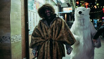 Un oso polar acompaña a